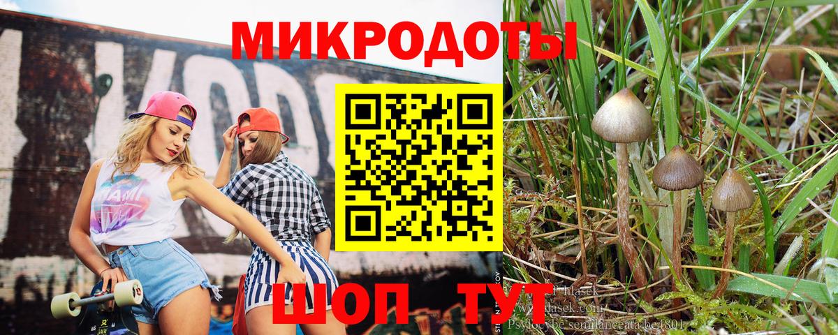 Нарткала  Галлюциногенные грибы мухоморы  Вход с VPN 