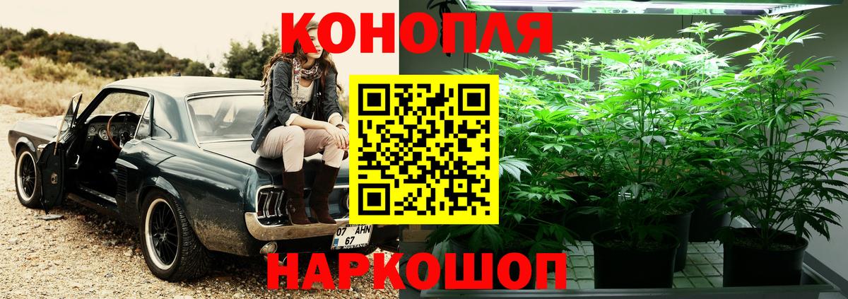 Каннабис индика  Шишки марихуана семена  Вход с VPN  Бошки марихуана White Widow  Нарткала 